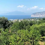 Lemons Hill 게스트하우스 4*