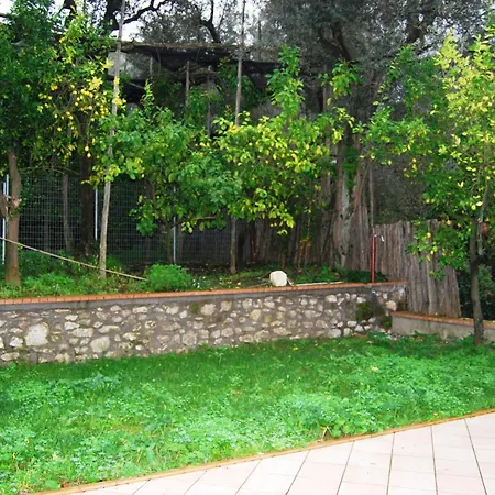 Vendégház Lemons Hill