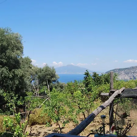 Vendégház Lemons Hill Sorrento