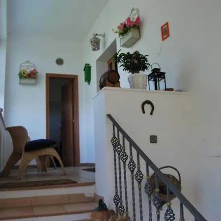 Studios Guest house *