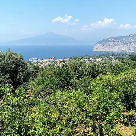 Lemons Hill 招待所 4*