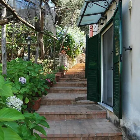 Lemons Hill ゲストハウス