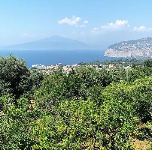 Lemons Hill ゲストハウス 4*