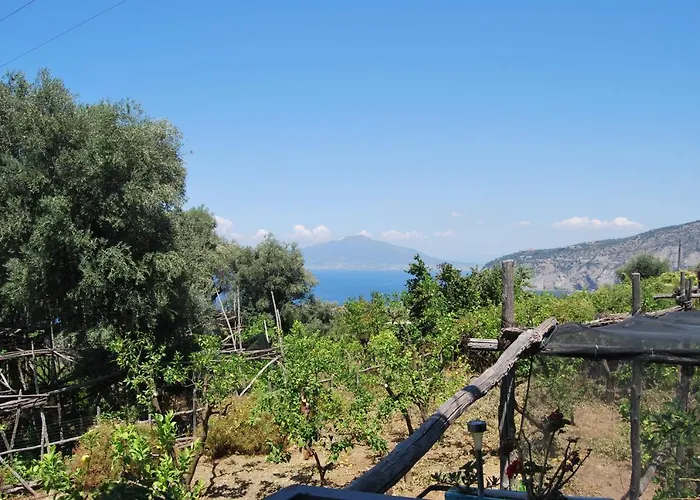 ゲストハウス Lemons Hill ソレント