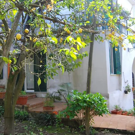 Lemons Hill Casa de hóspedes Sorrento