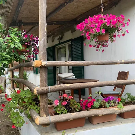 Lemons Hill Pensionat 4*