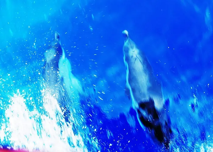 Lemons Hill 소렌토