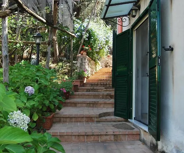 Lemons Hill Pensionat